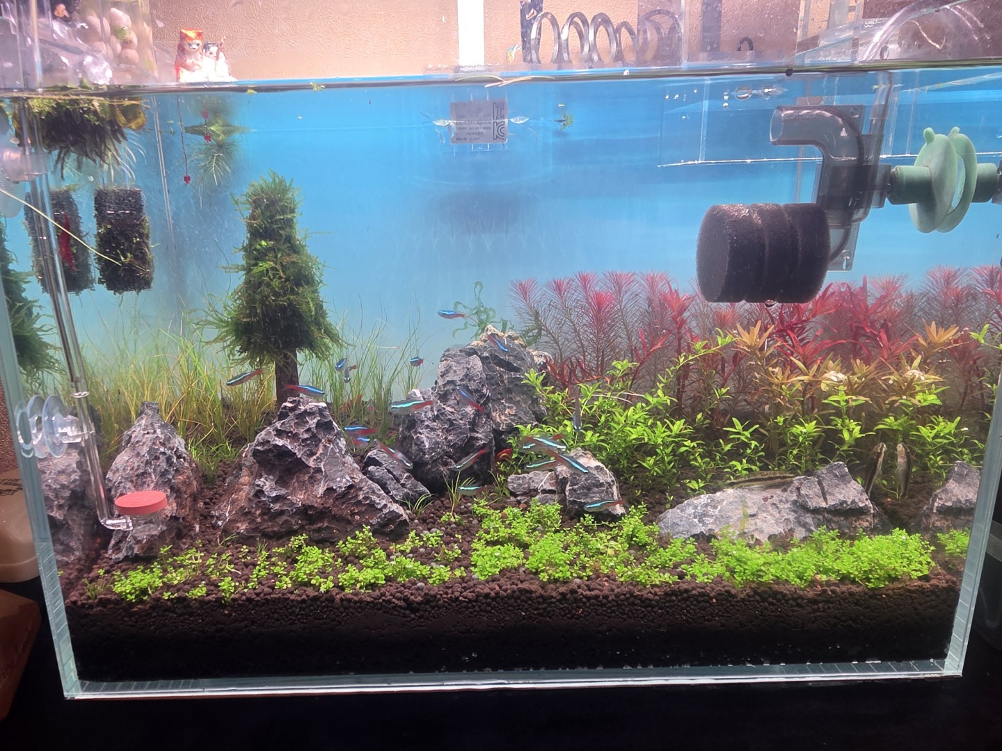 생물 영입했습니다~그리고....