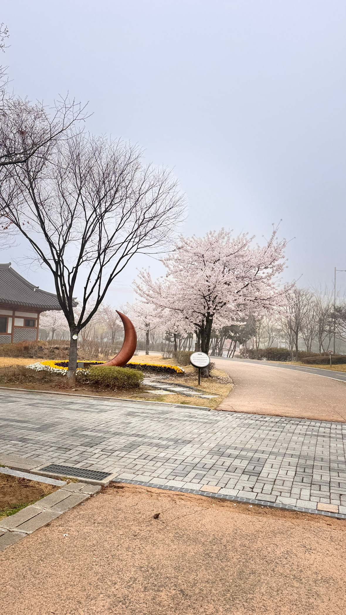 Post image 11