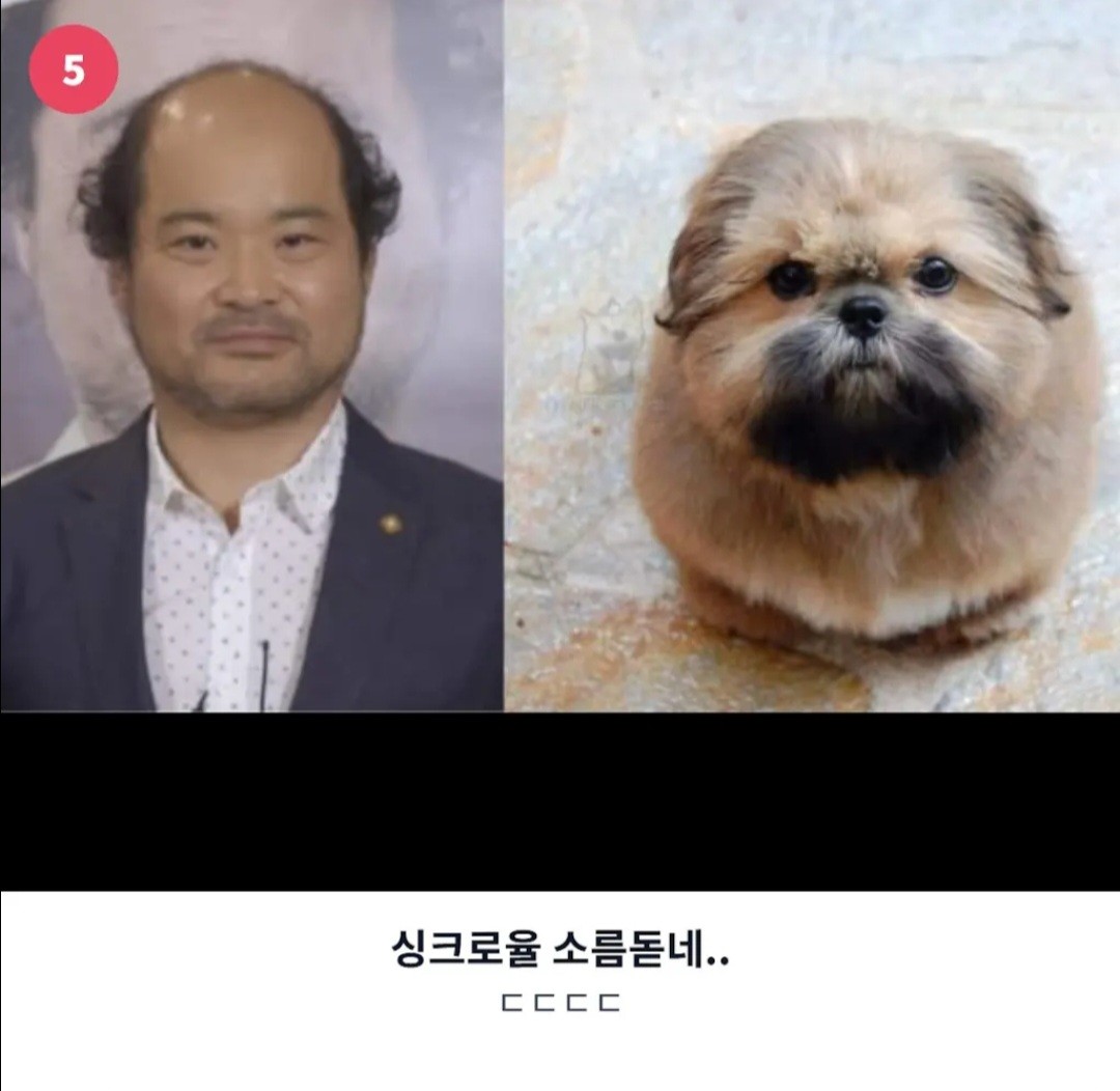 Post image 6