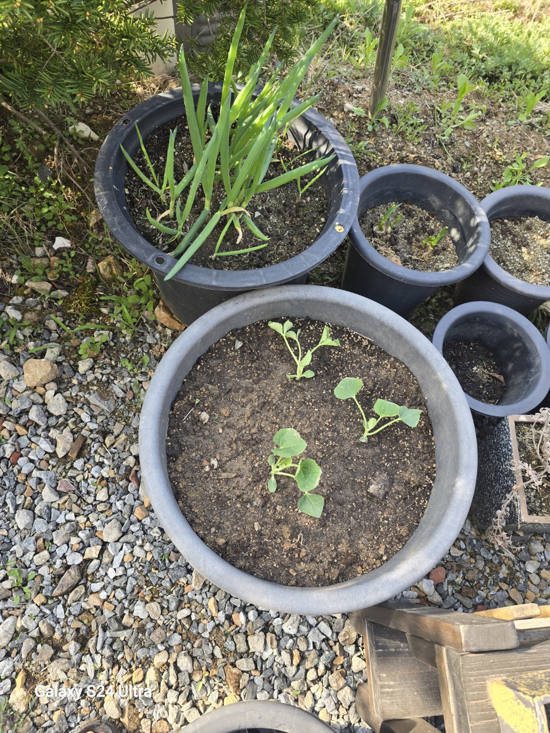Post image 7