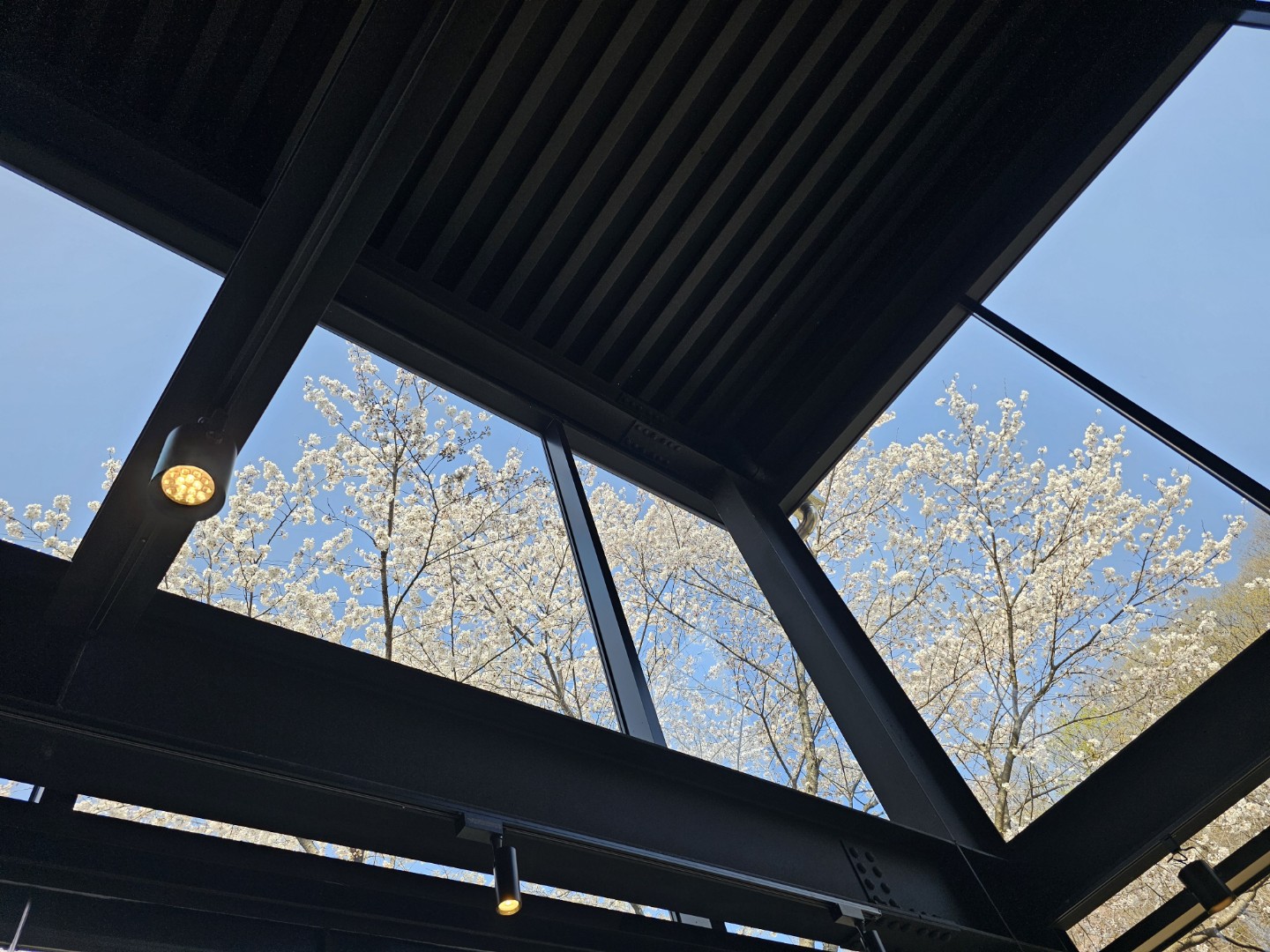Post image 5