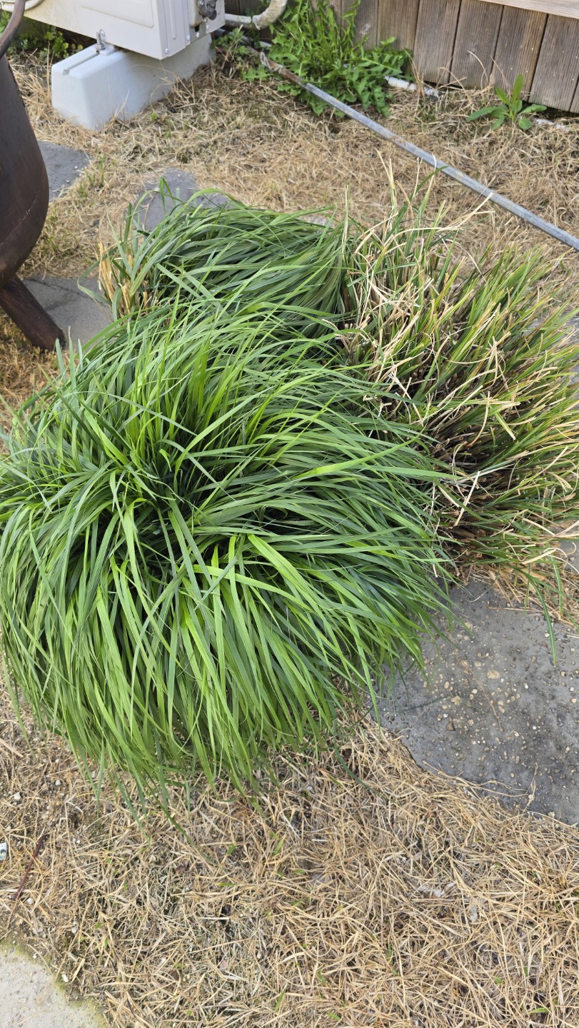 Post image 2