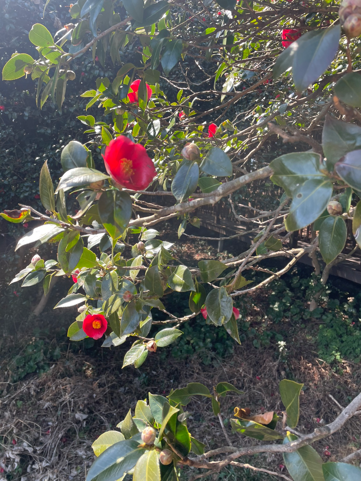 새로운일에 도전하고 싶어요~
