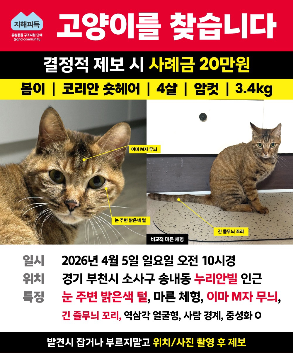 Post image 8