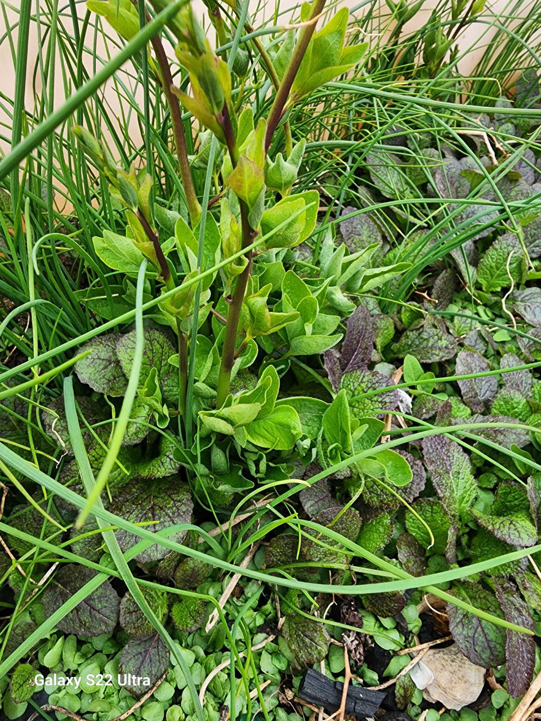 Post image 6