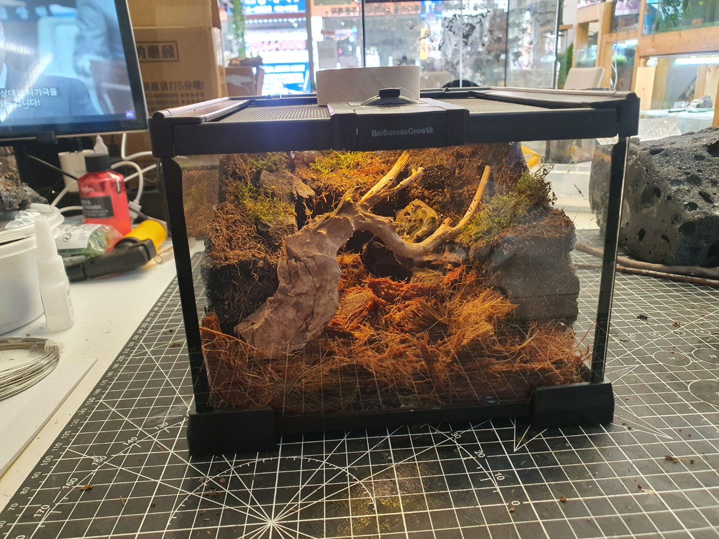Post image 5