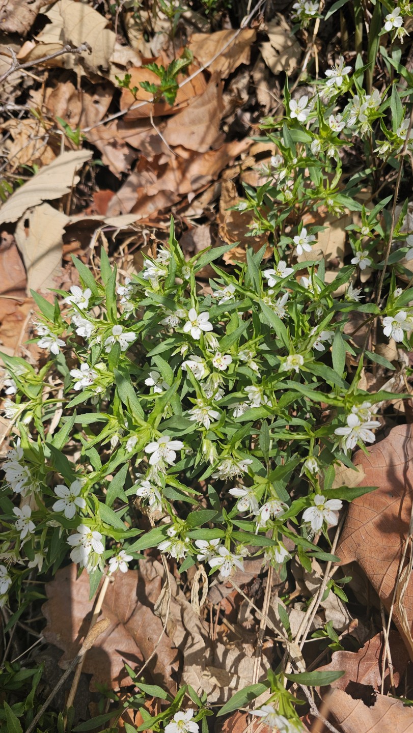 Post image 4