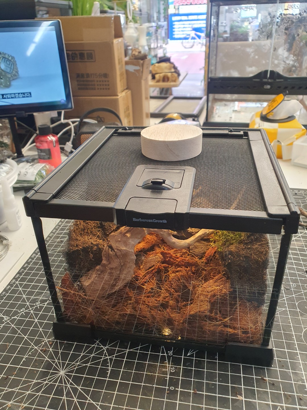 Post image 3