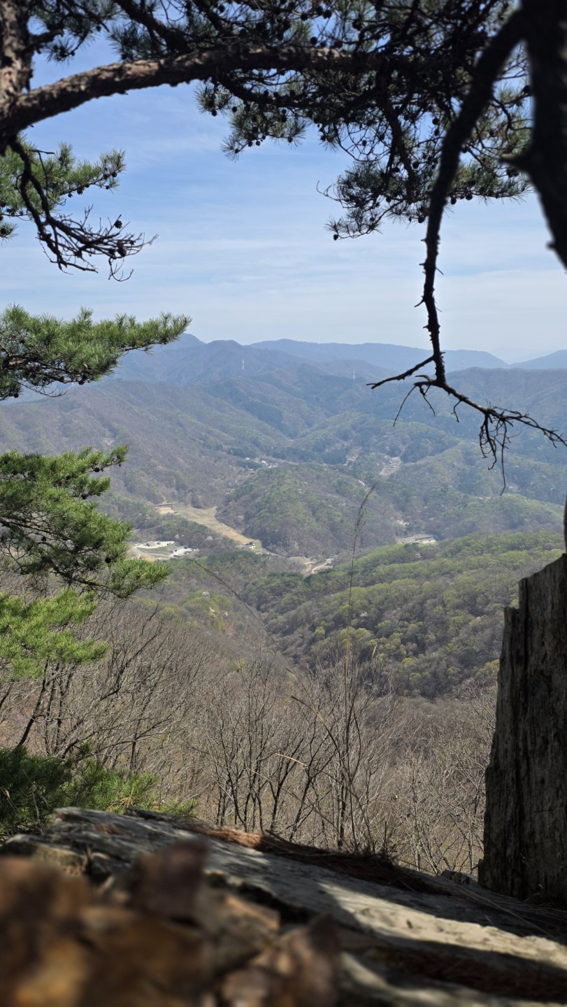Post image 5