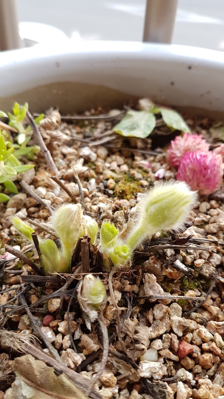 Post image 13