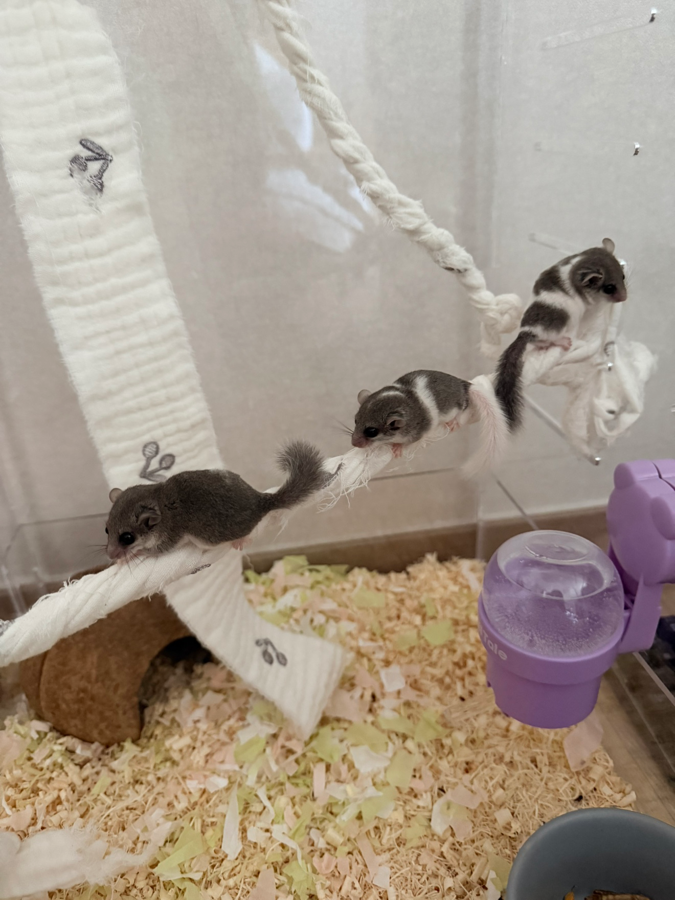 Post image 6