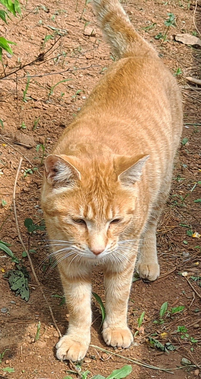 Post image 4