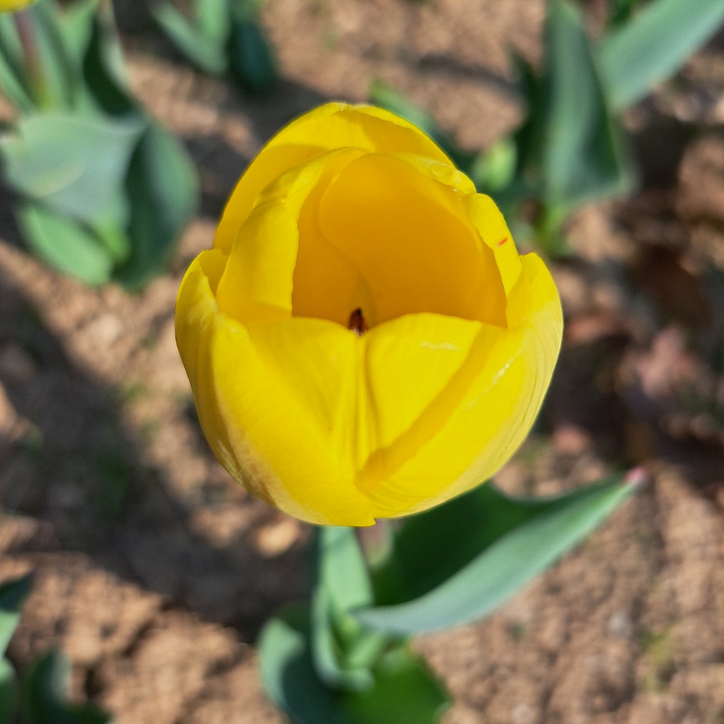 Post image 7