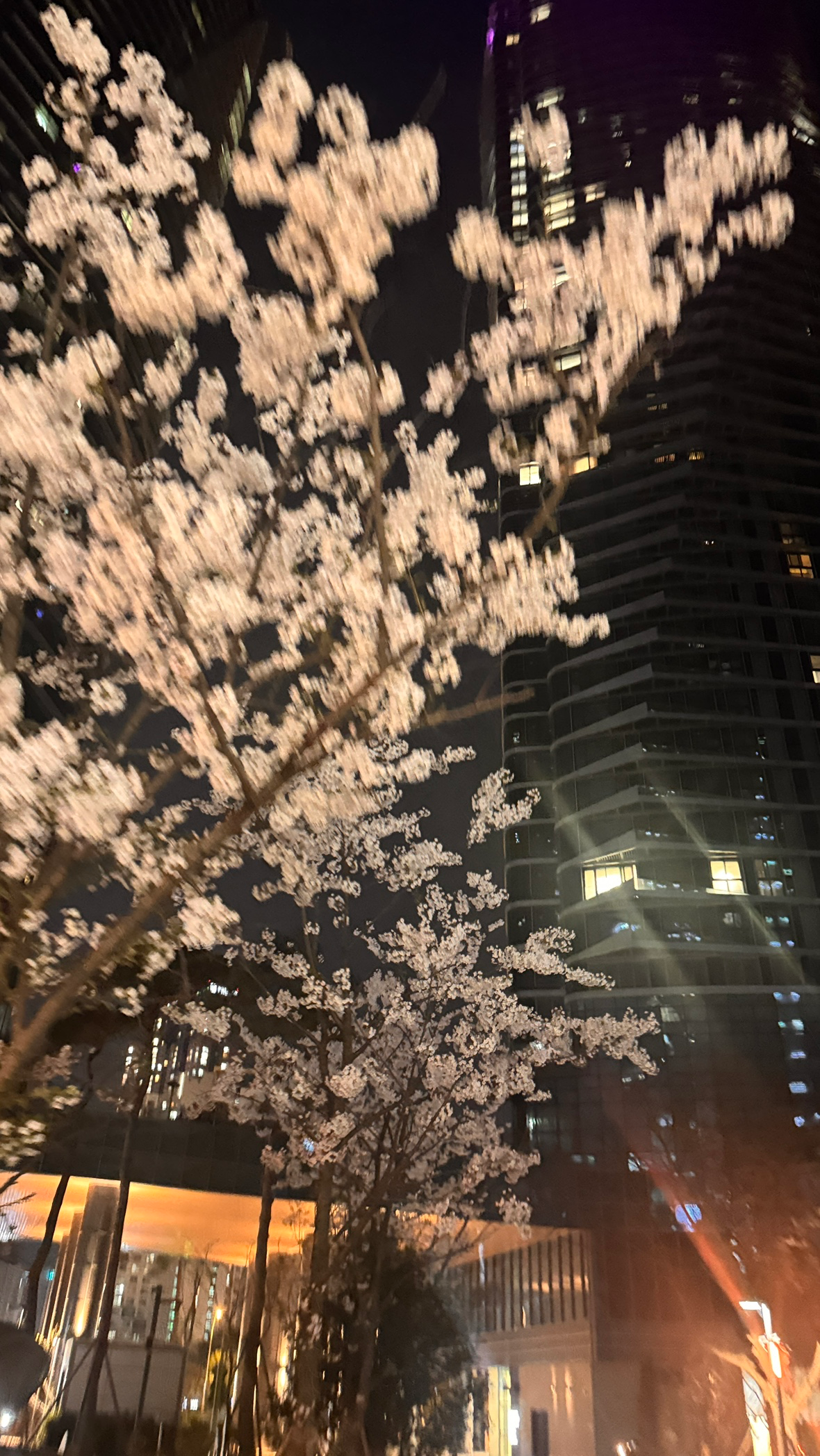 Post image 10