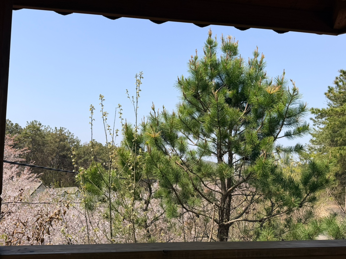 Post image 6