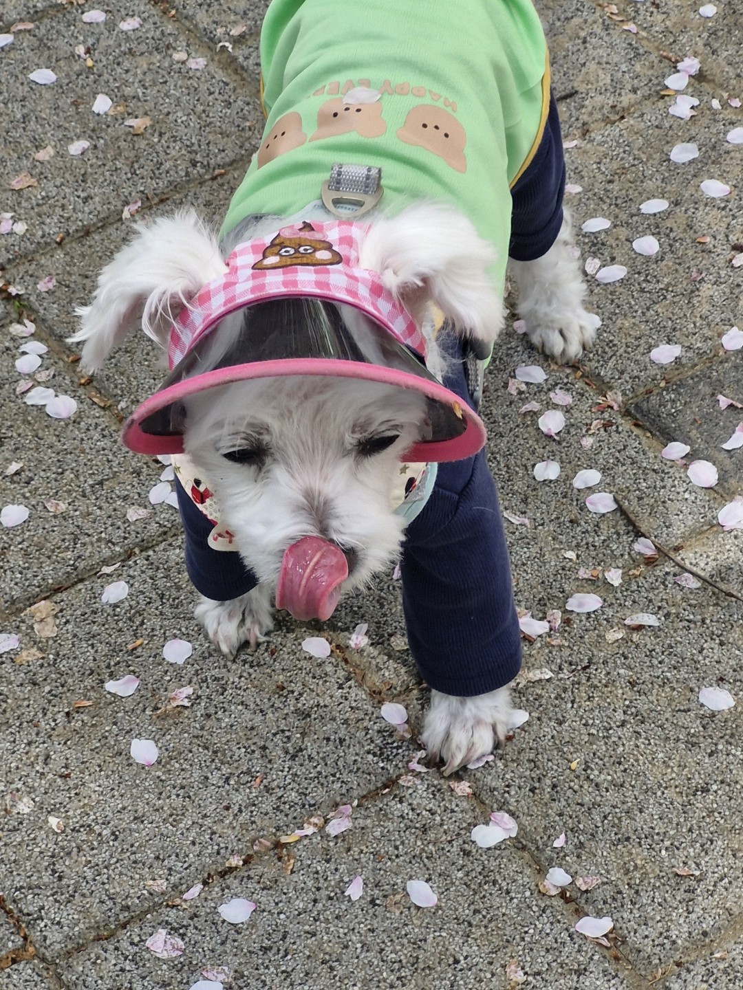 Post image 1