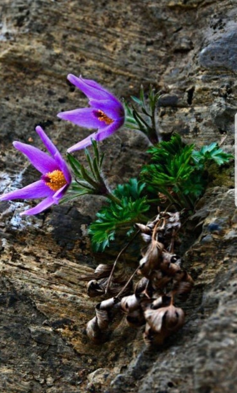 Post image 10