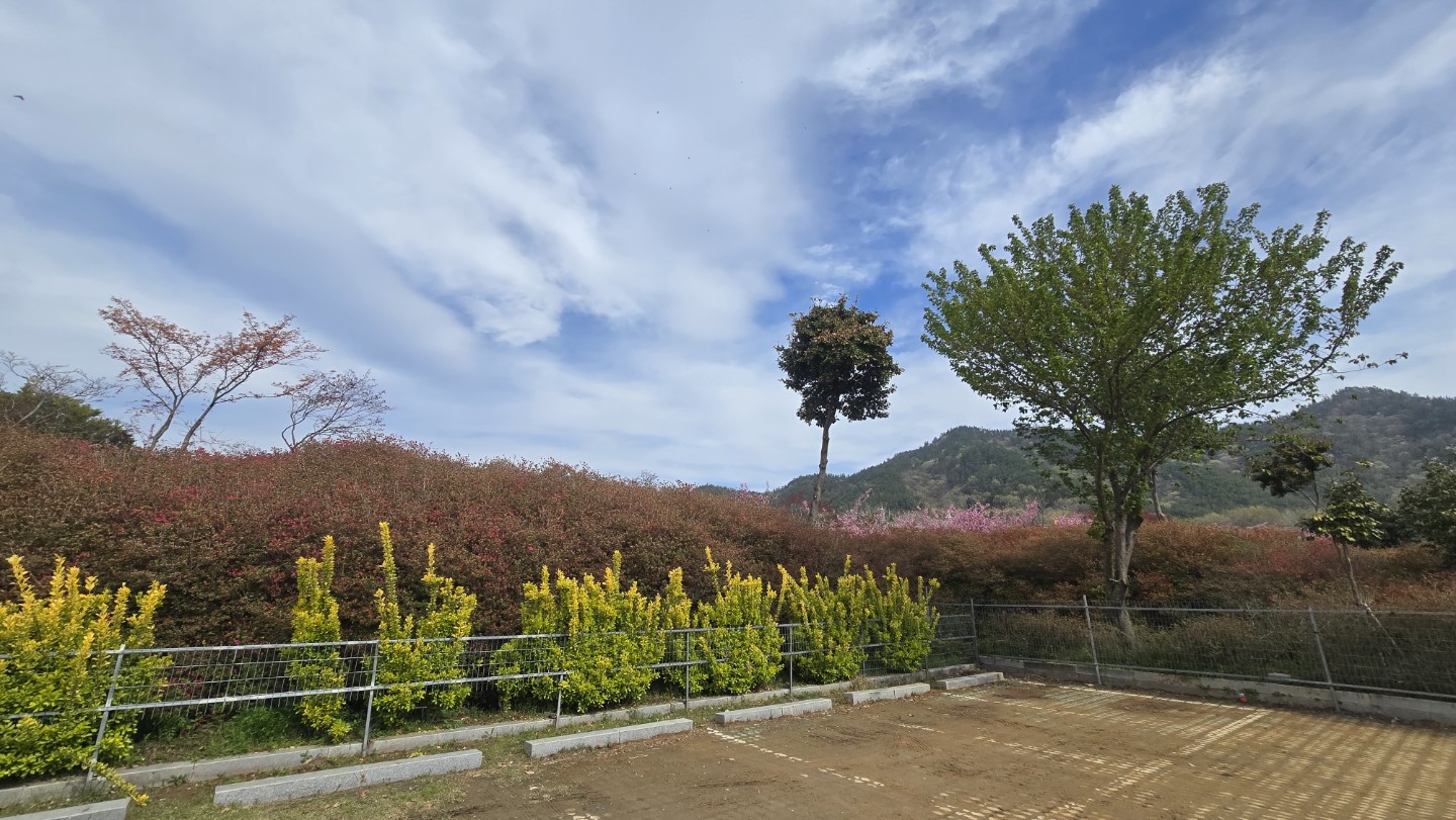 Post image 16