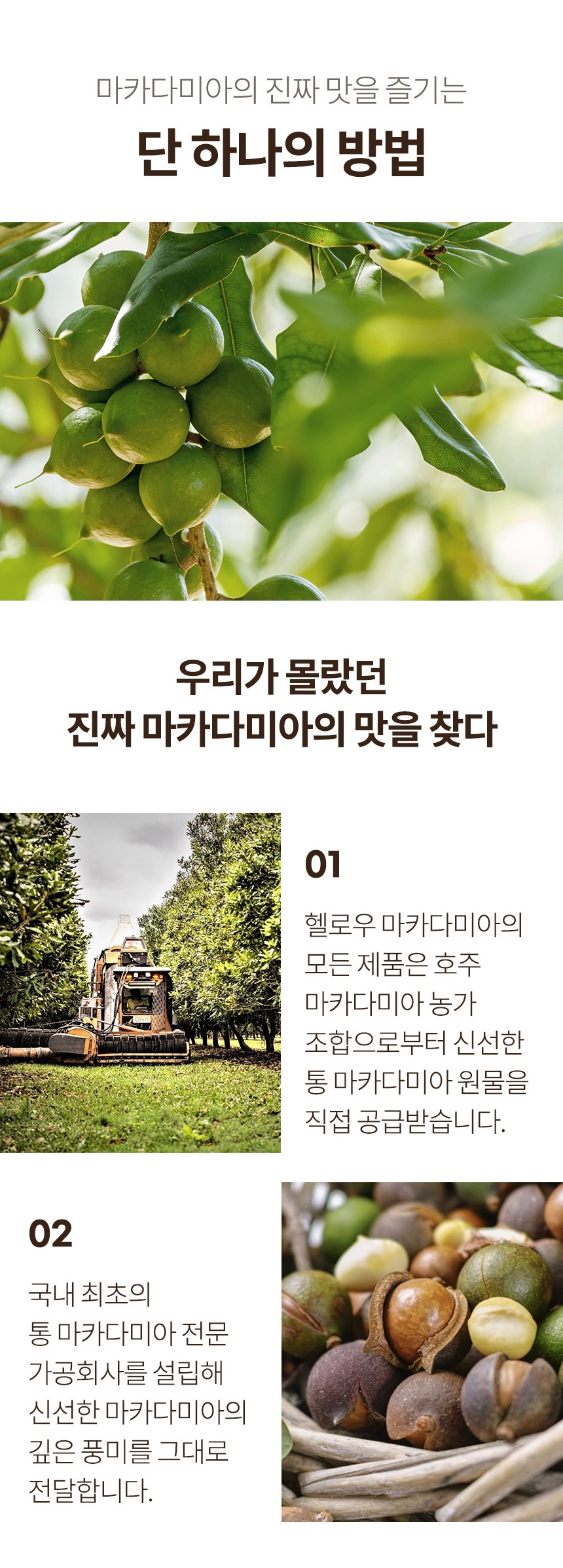 Post image 26