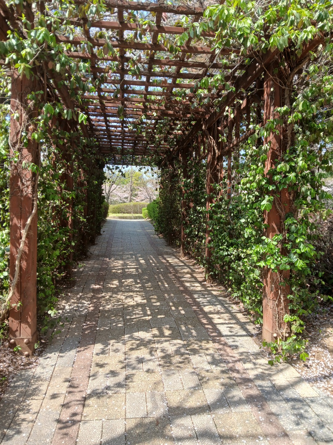 둘이서 말없이 걷고 싶은길.