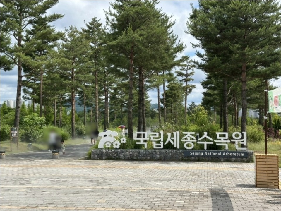 Post image 19