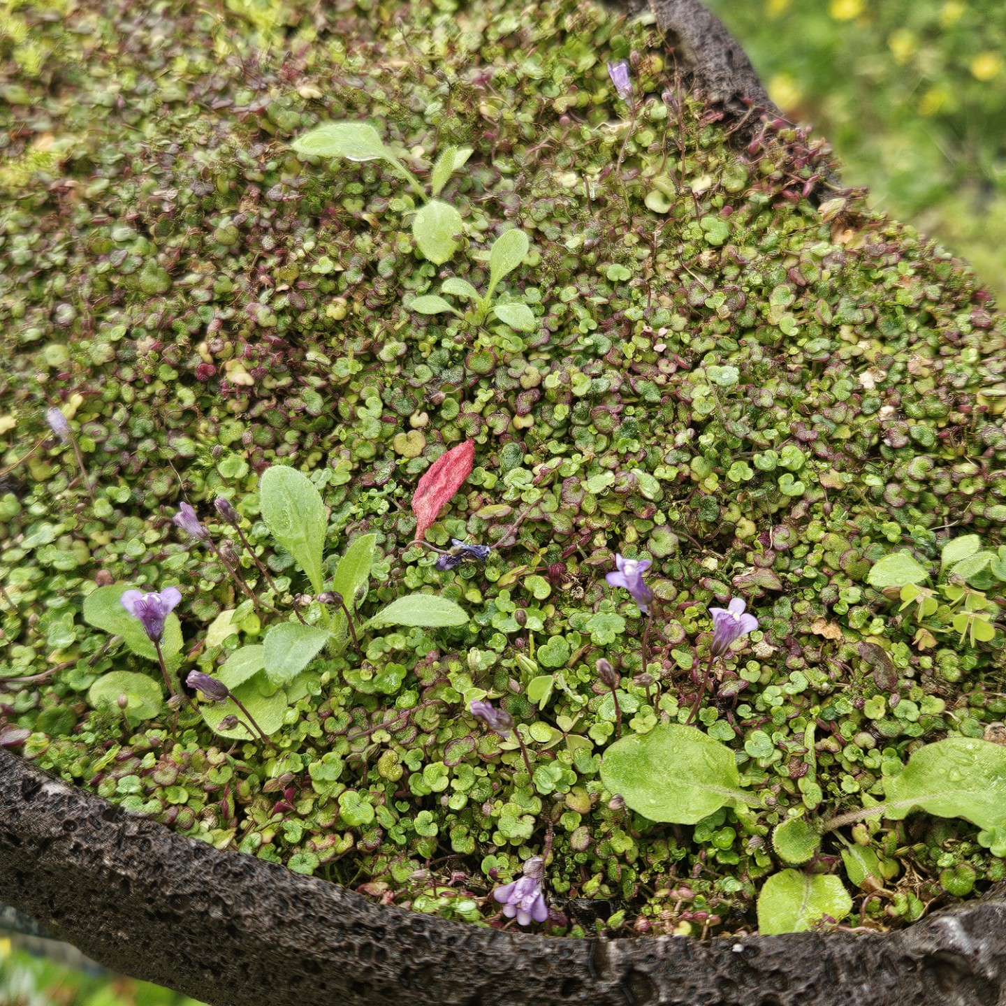 Post image 3