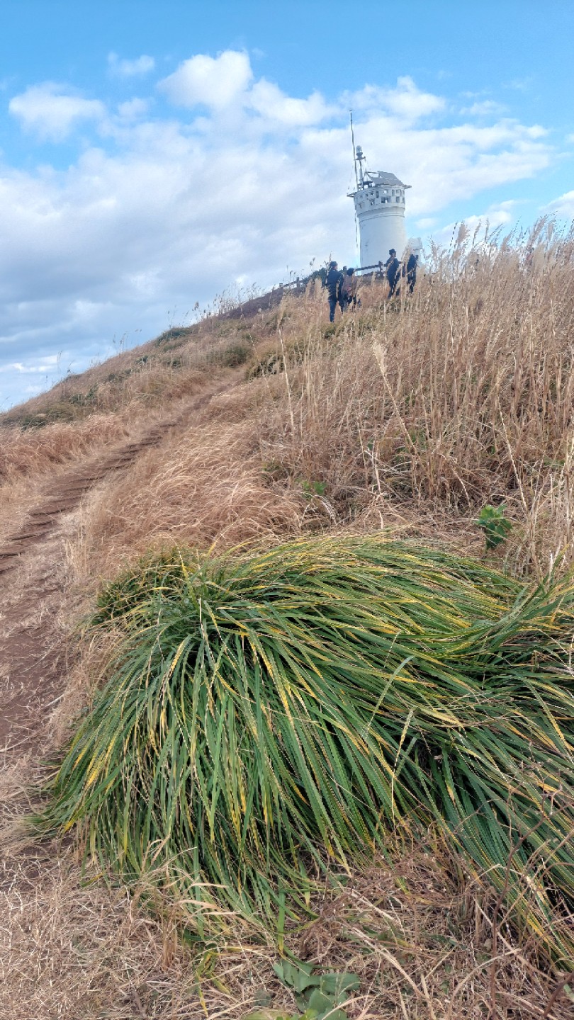 삶의 이야기 길   인생이 머무는길  발길닿는곳  섬길