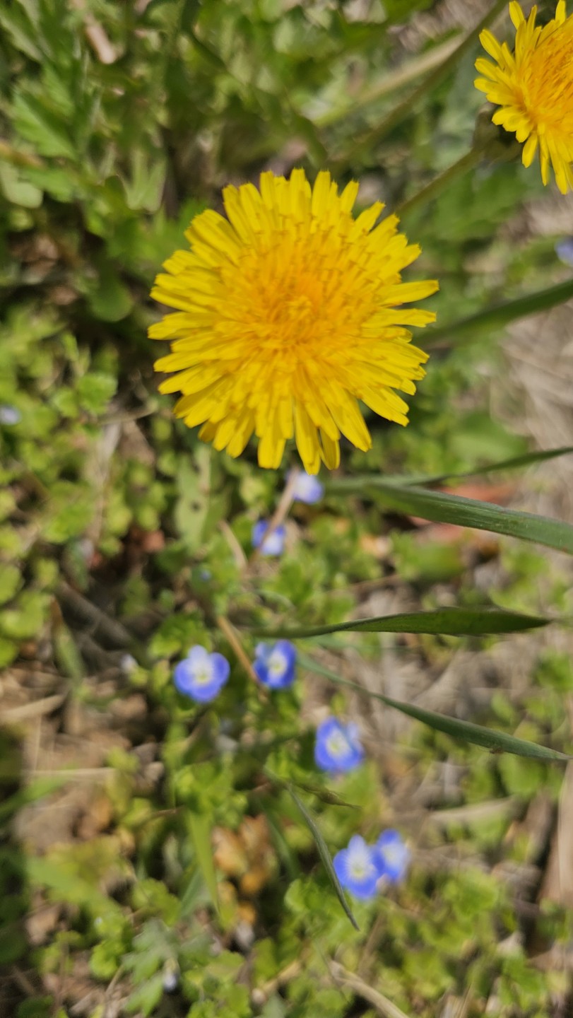 Post image 9