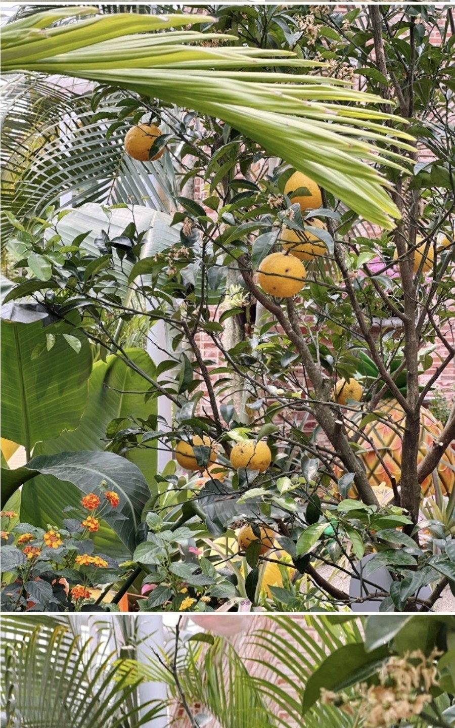 Post image 23