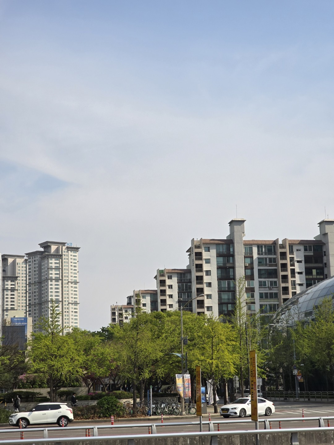 초록의 빛이 더욱 깊어지네여~