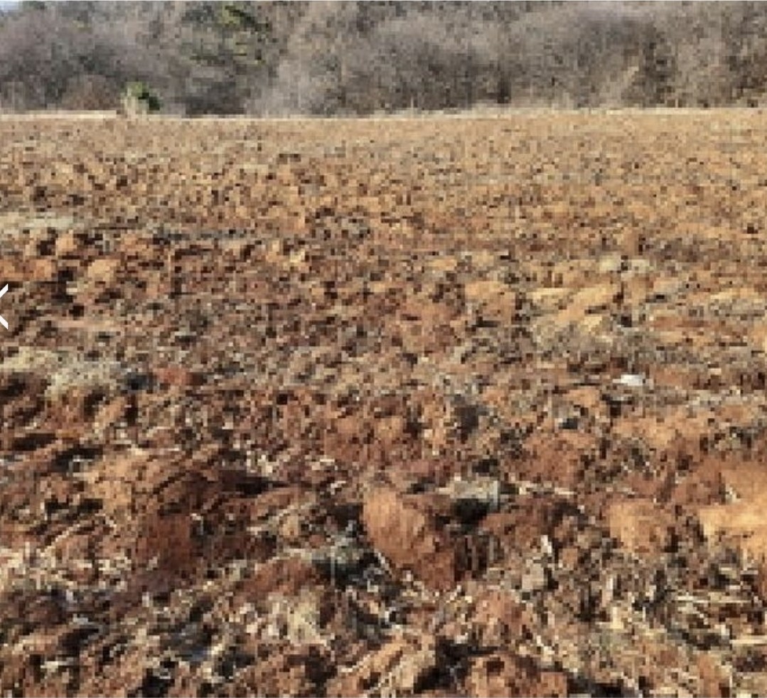 Post image 5