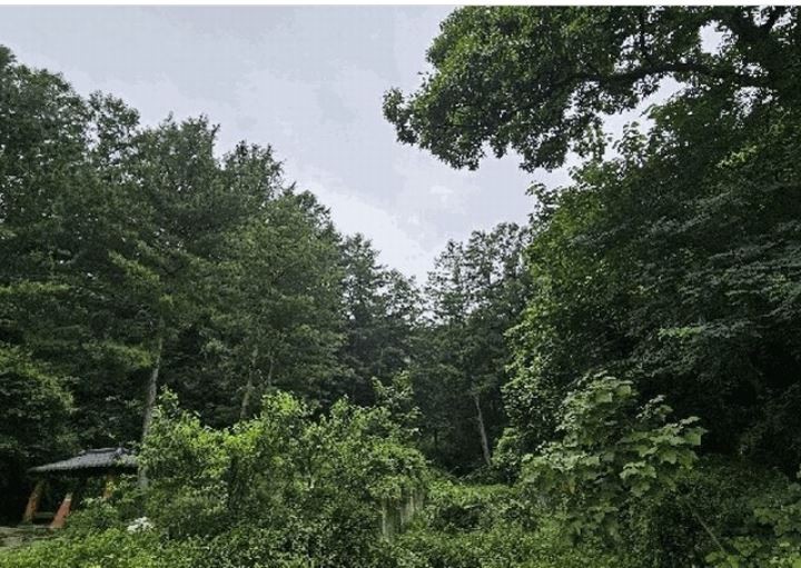 Post image 7