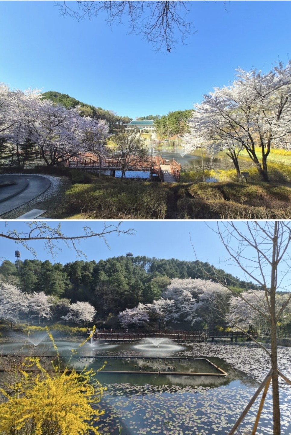 Post image 6