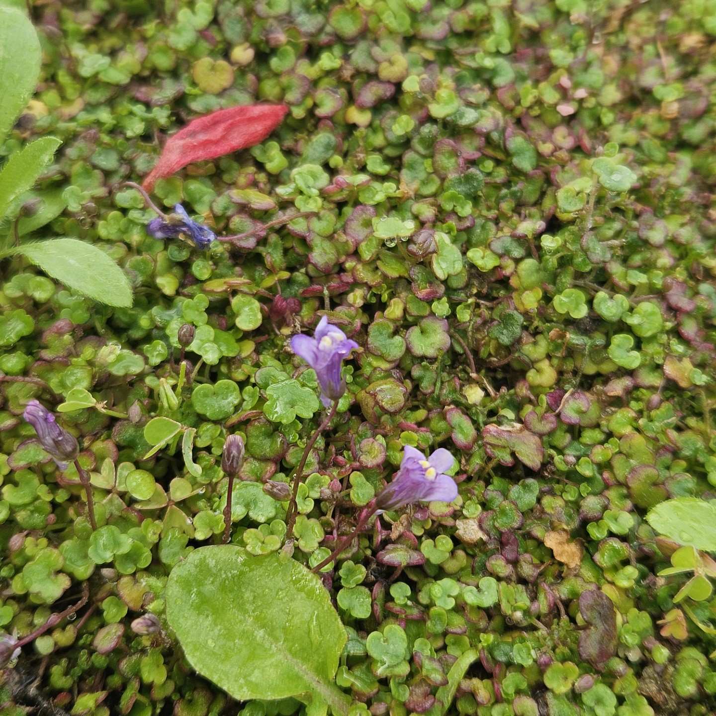 Post image 4