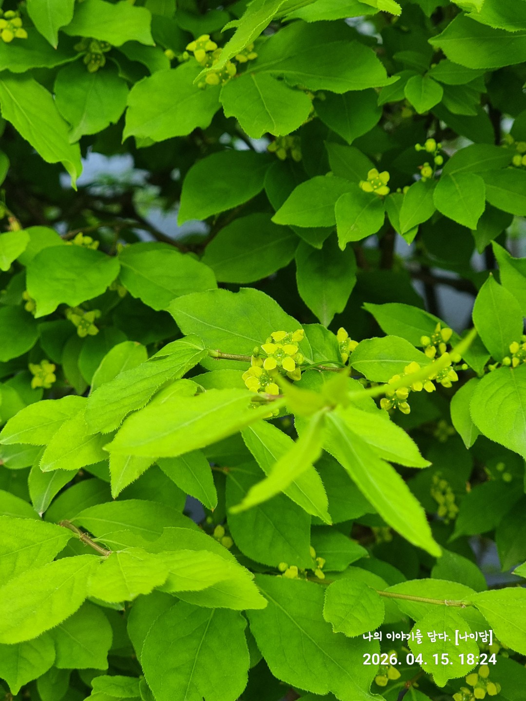 오늘의 사진 📸