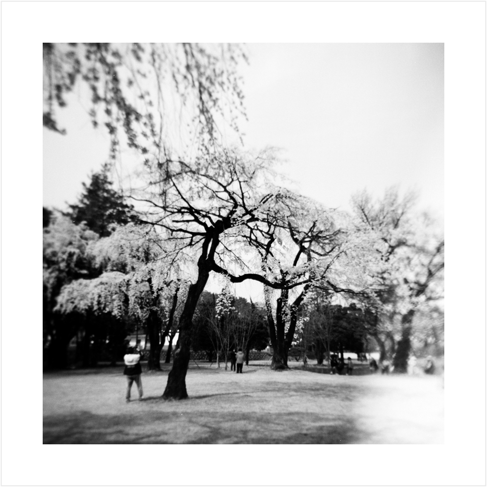 Post image 6