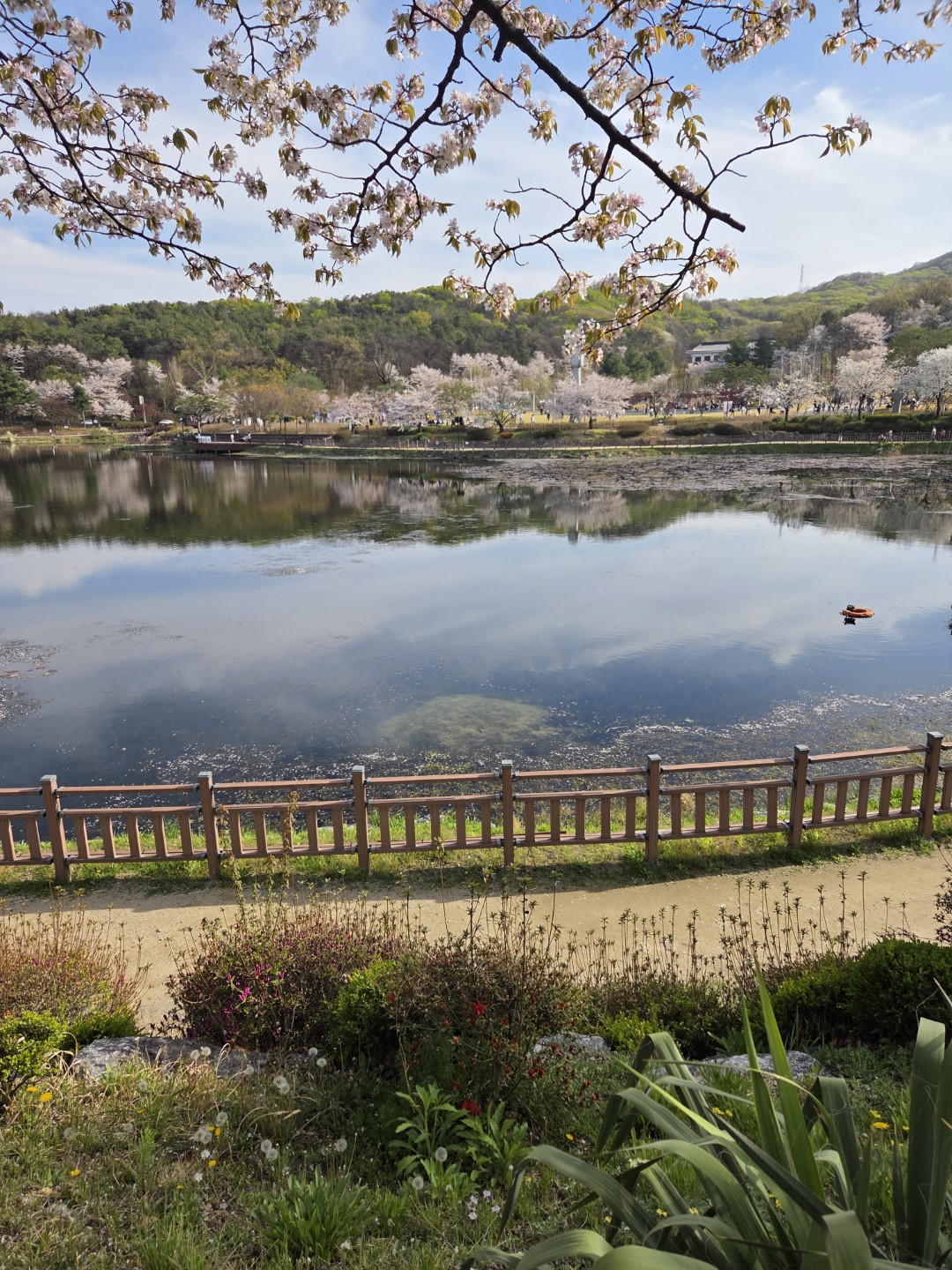 늦은 가입인사 드립니다