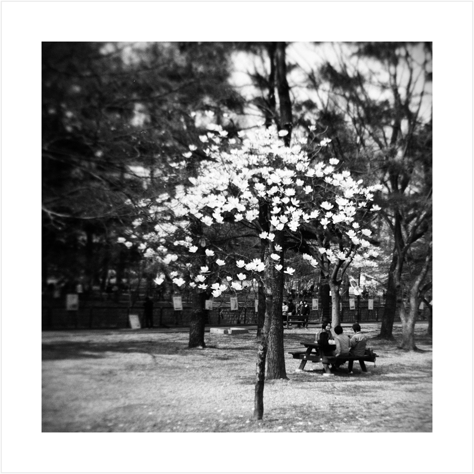 Post image 10