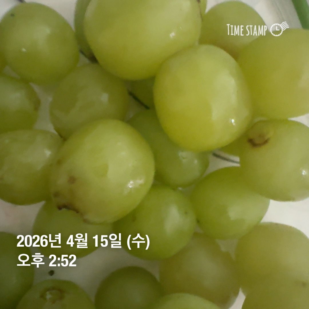 4월 15일 식단인증