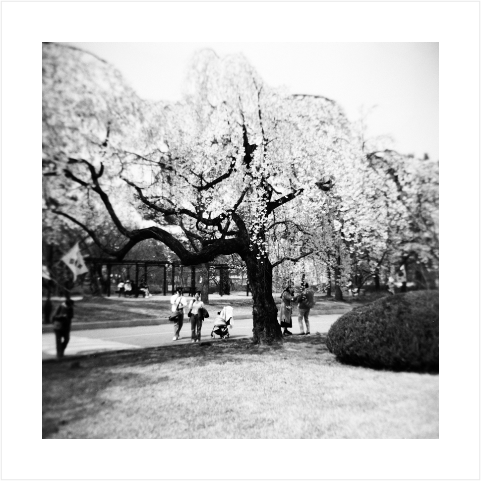 Post image 9