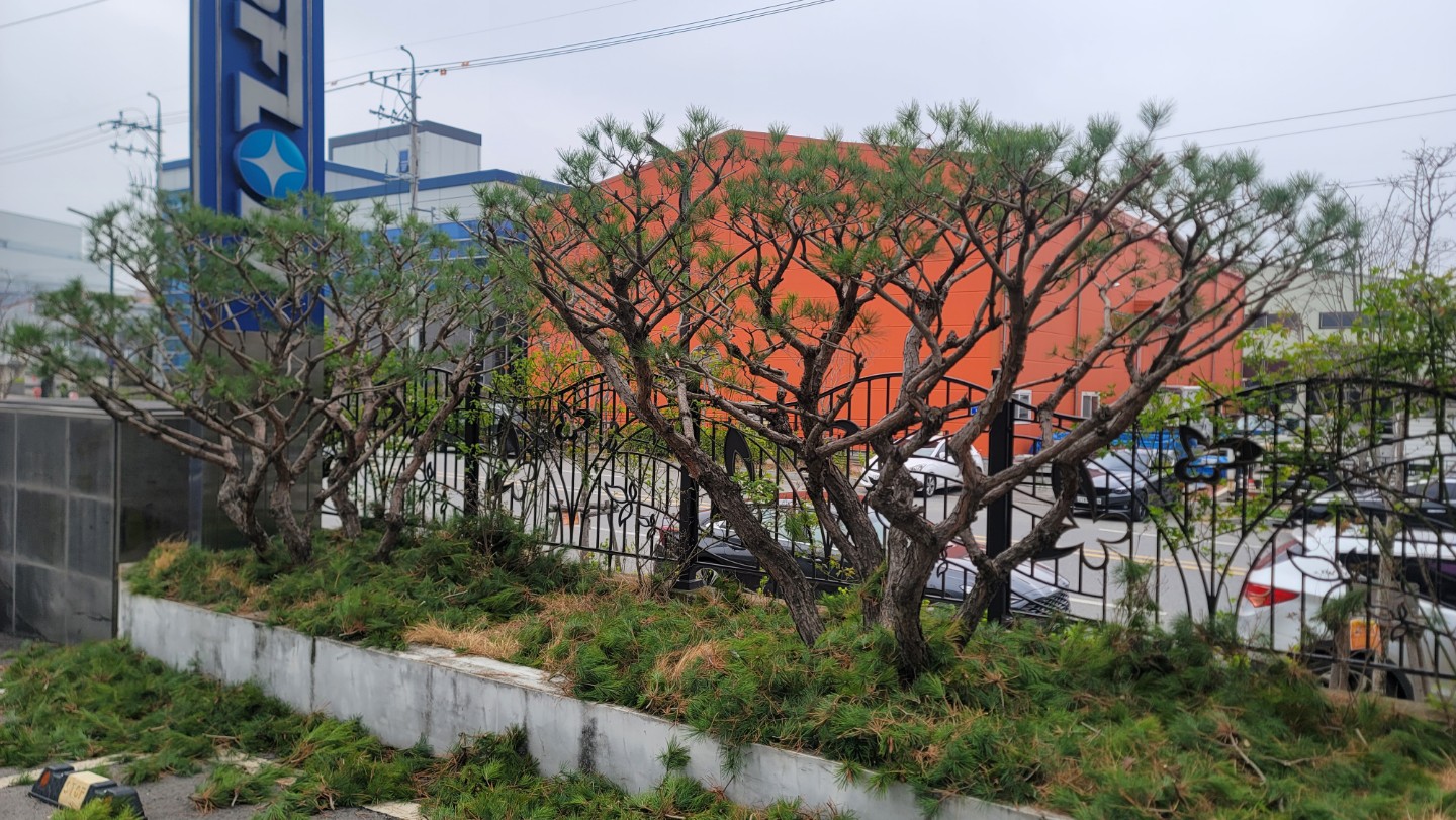 Post image 5