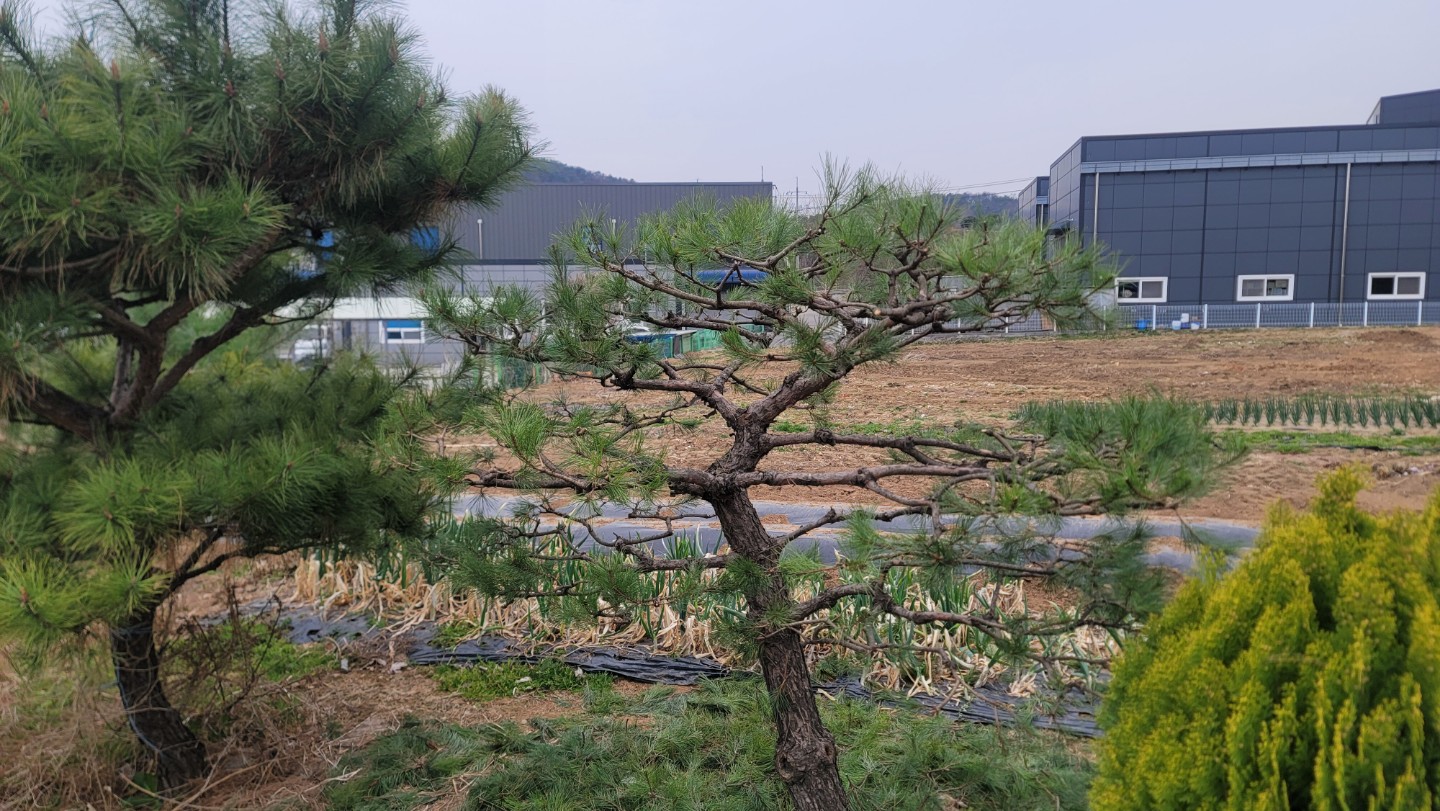 전지작업 전과후 비교