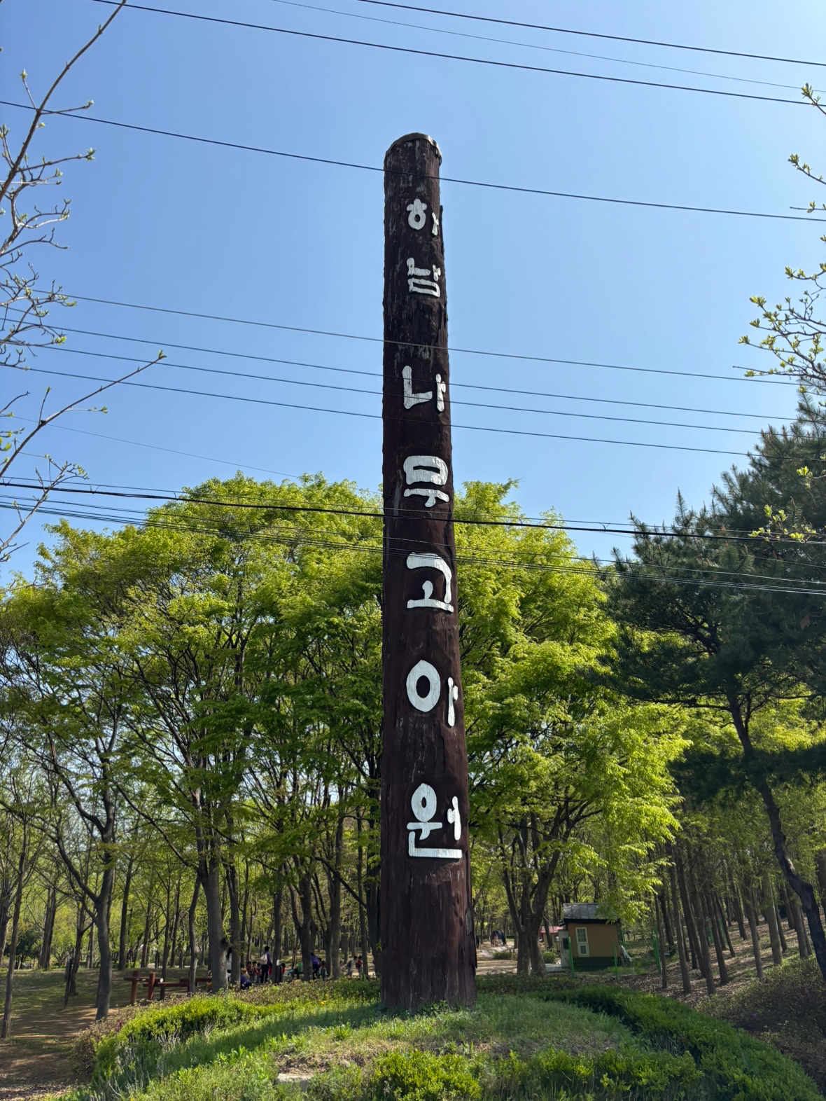 Post image 8