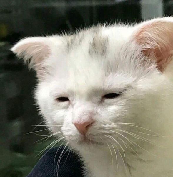 마케팅 뉴스 클리핑