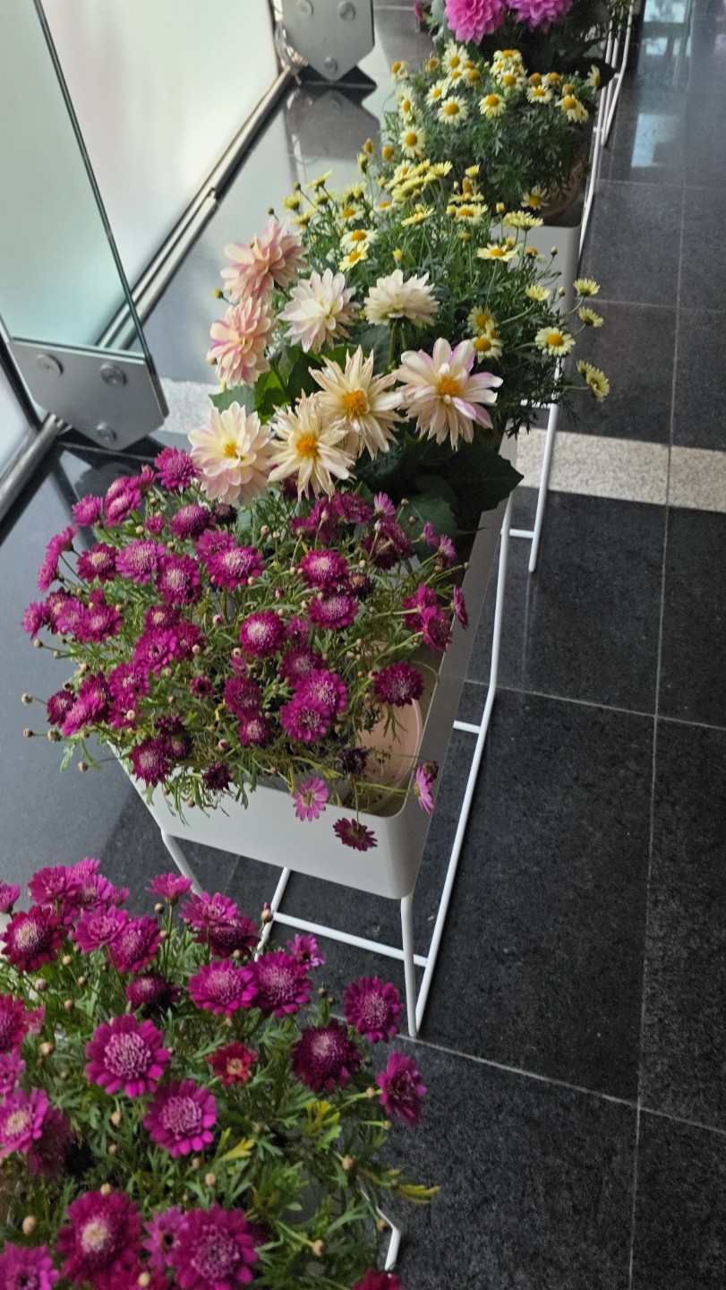 Post image 6