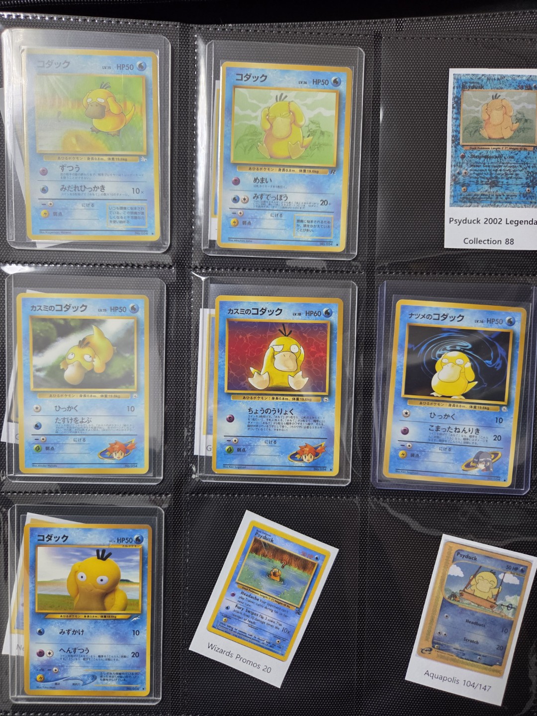 고라파덕 수집 현황