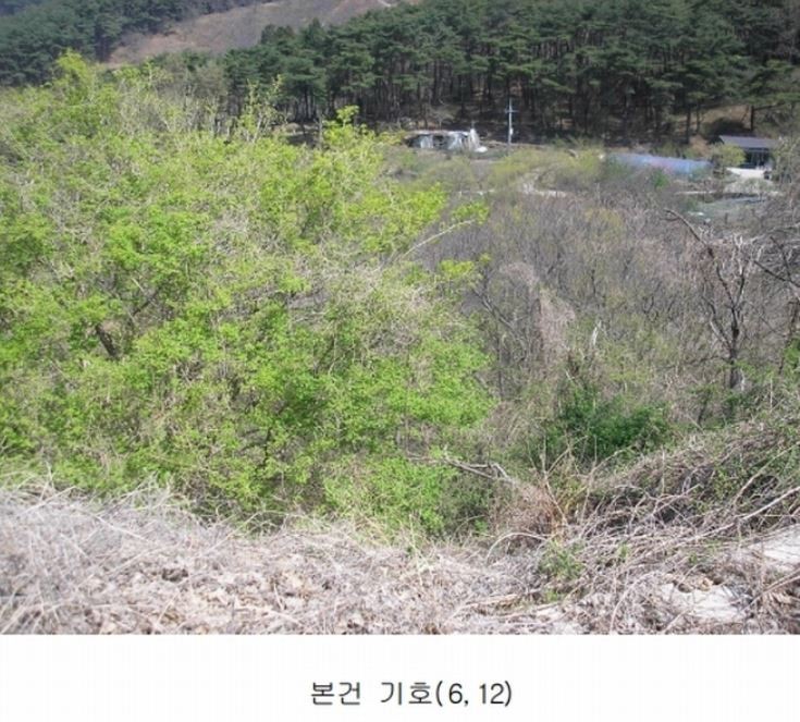 Post image 13