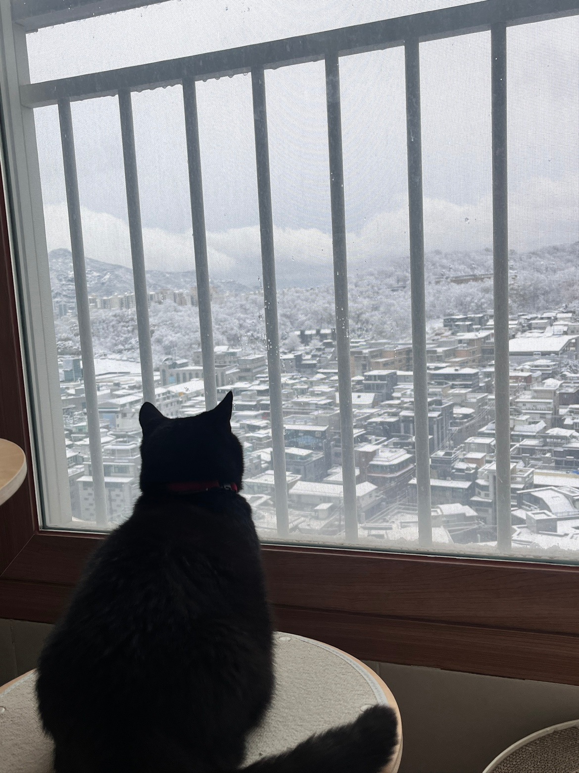 Post image 5