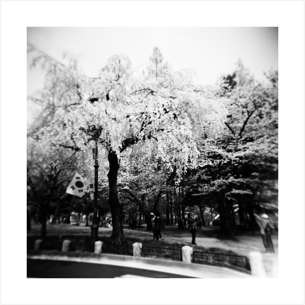 Post image 7