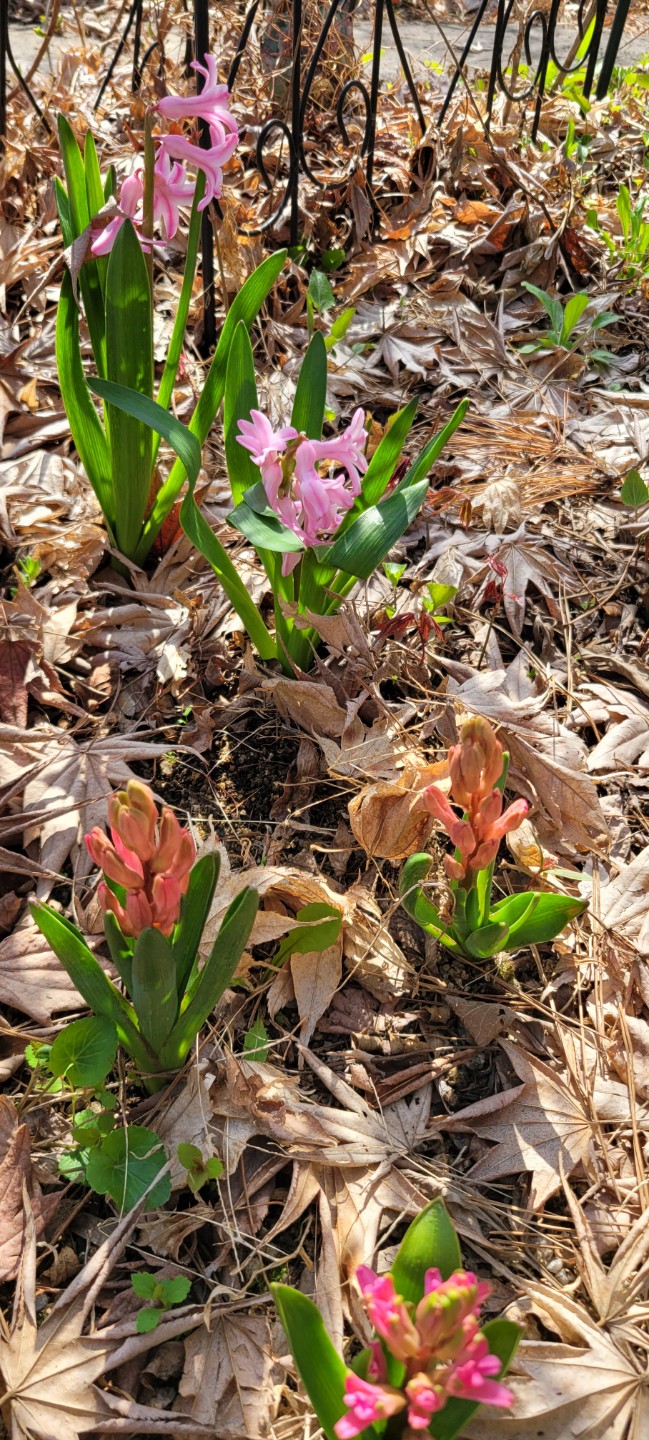 Post image 7